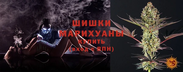 дурь Ладушкин