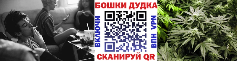 Шишки марихуана конопля  где можно купить наркотик  Ковылкино 